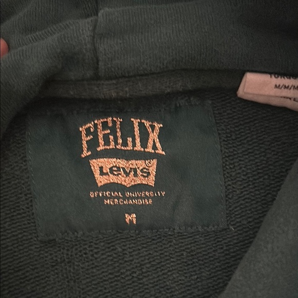 Levi's Green Oversized Hoodie with Yellow Accents - Picture 2 of 6